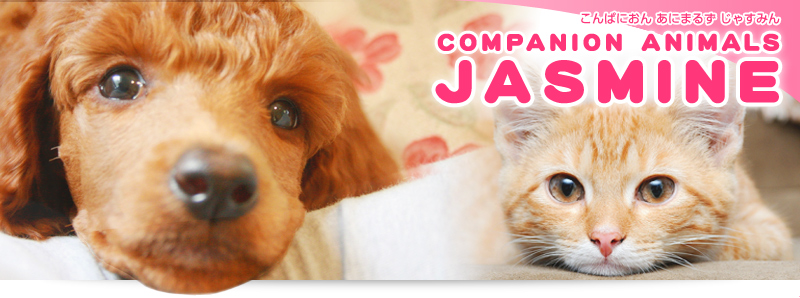 �y�b�g�����N�[�[�V�����A�y�b�g�z�e���A�y�b�g�̔��wCOMPANION ANIMALS JASMINE�x���Ⴗ�݂�