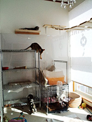 �l�R�����̗V�ѕ���